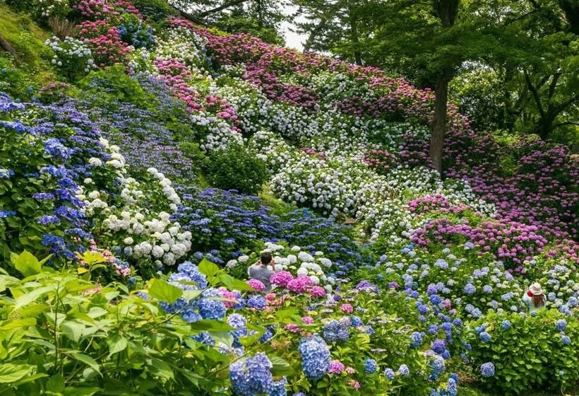 ホテル Odawara Terminal