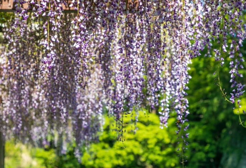 ホテル Odawara Terminal