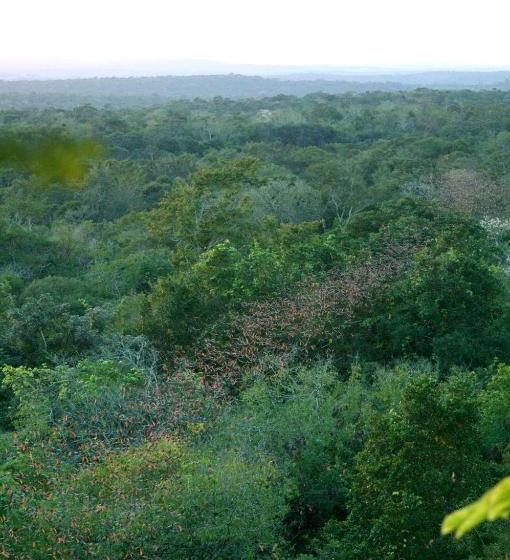 فندق Puerta Calakmul