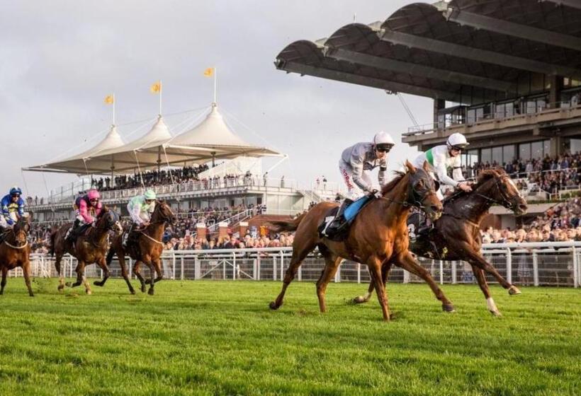 Отель Purchases Restaurant & Accommodation