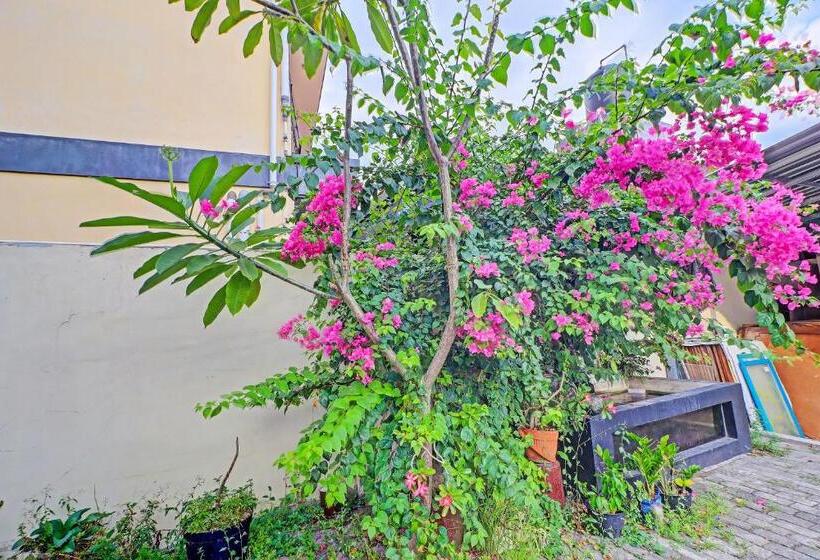 בית מלון כפרי Guest House Simalem