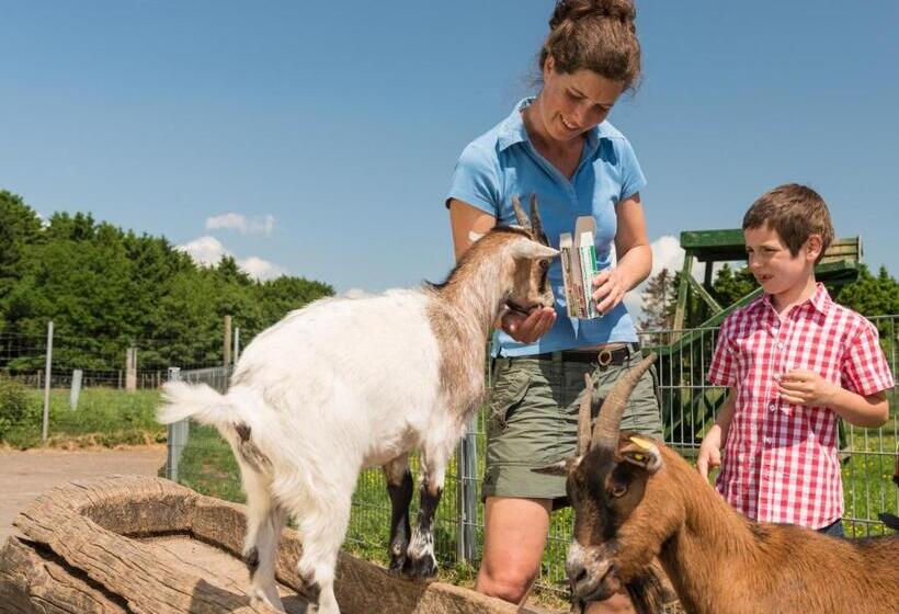 Steig Alm Hotel Superior