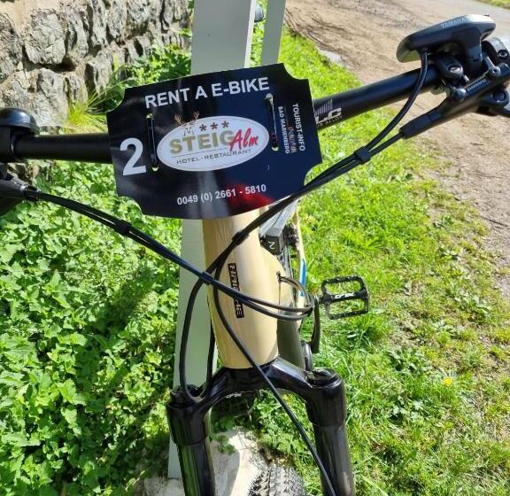 Steig Alm Hotel Superior