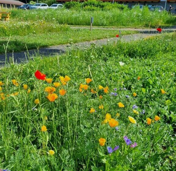 Steig Alm Hotel Superior