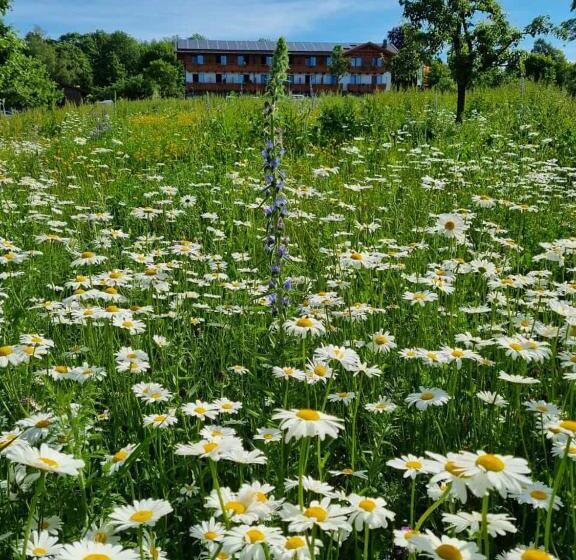 Steig Alm Hotel Superior