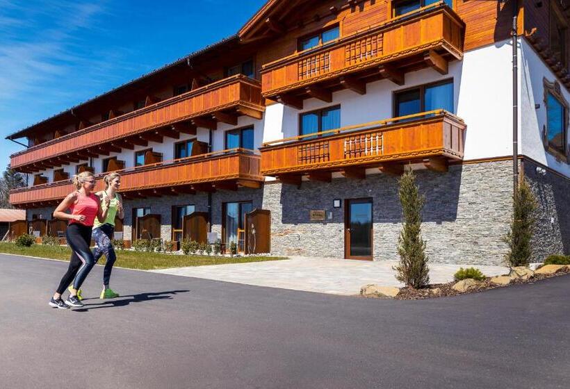 Steig Alm Hotel Superior