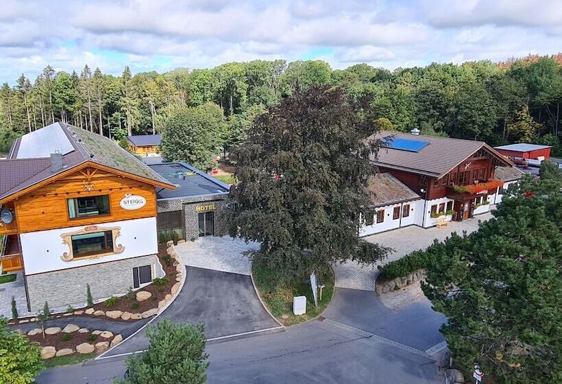 Steig Alm Hotel Superior