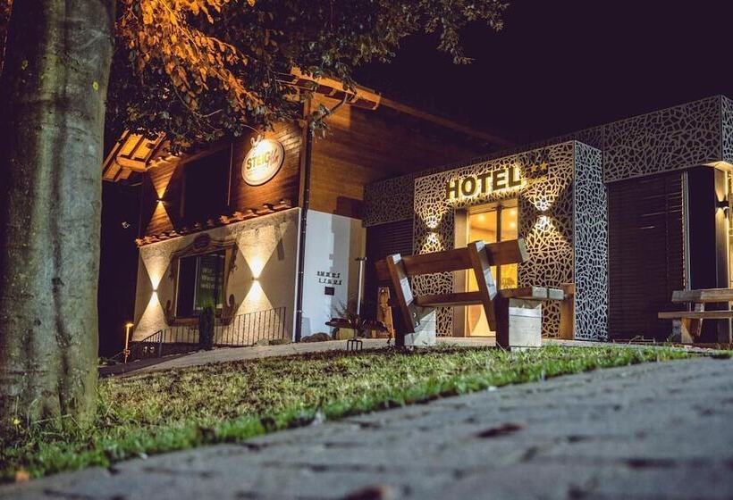 Steig Alm Hotel Superior