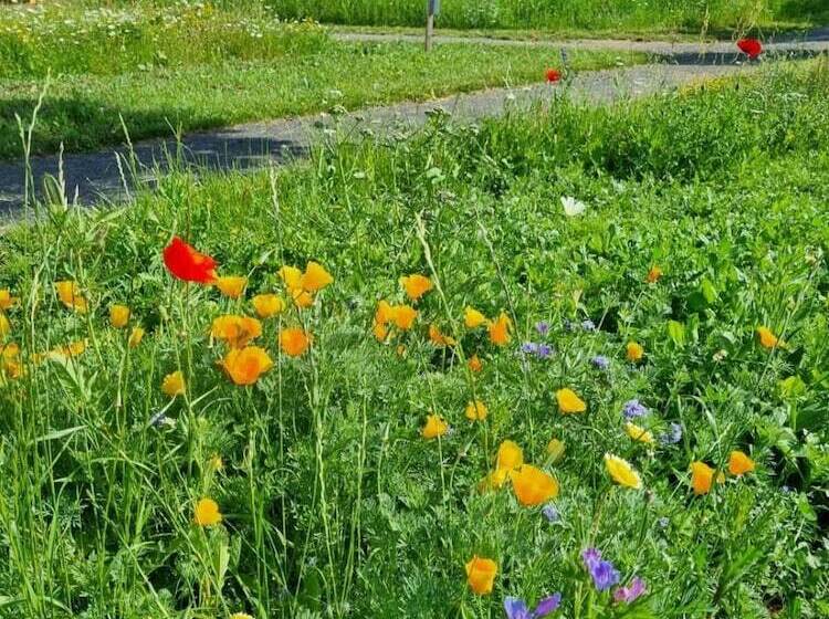 Steig Alm Hotel Superior