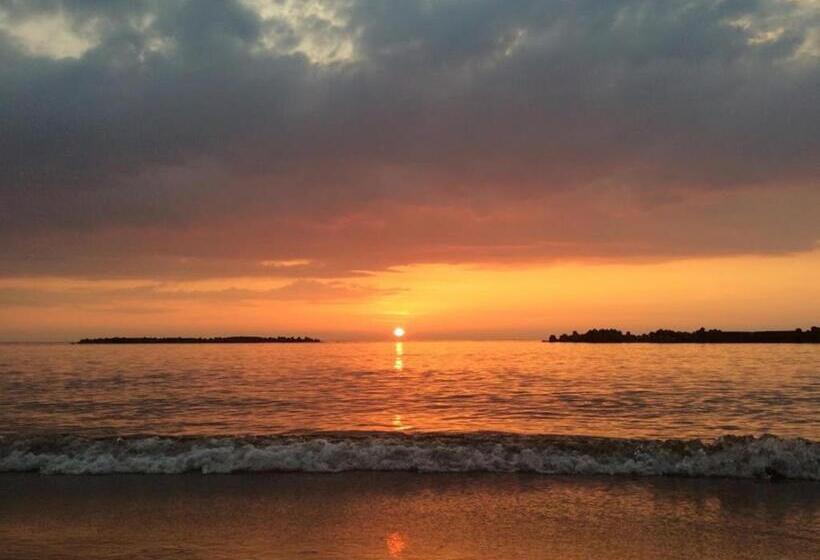 בית מלון כפרי Tabist Odakeya Ryokan Kashiwazaki