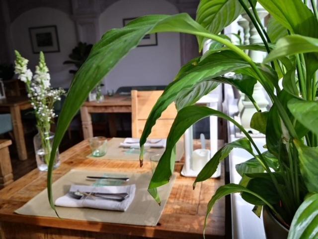 Landhotel 1707 By Landgasthof Zickler