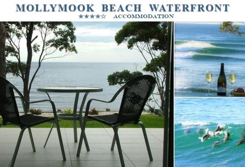 Mollymook Beach Waterfront