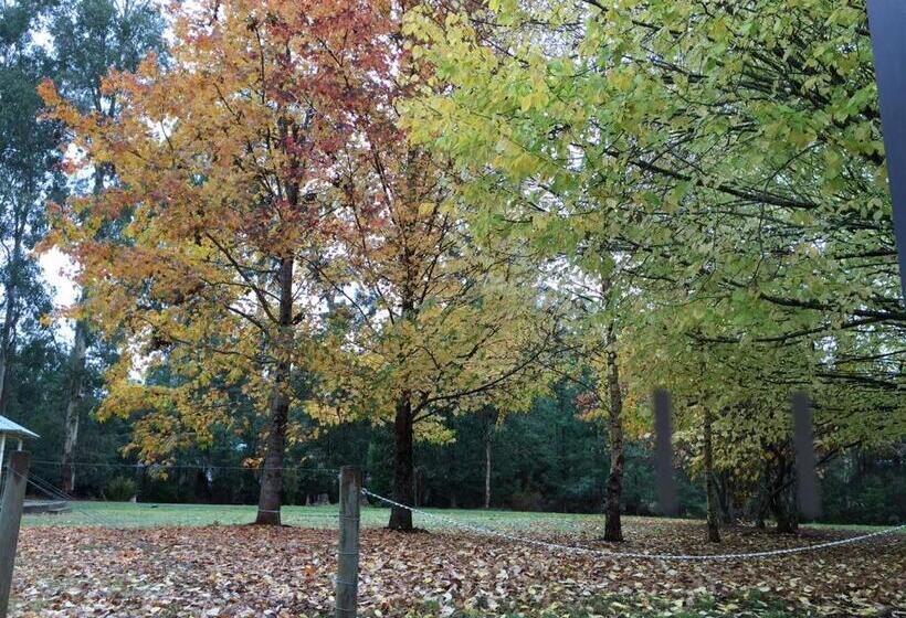 מוטל Crossways Country Inn