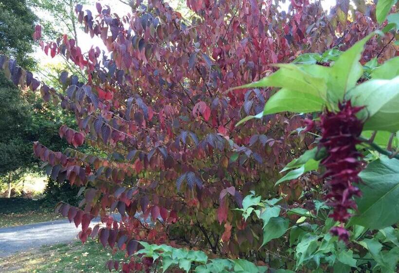 מוטל Crossways Country Inn