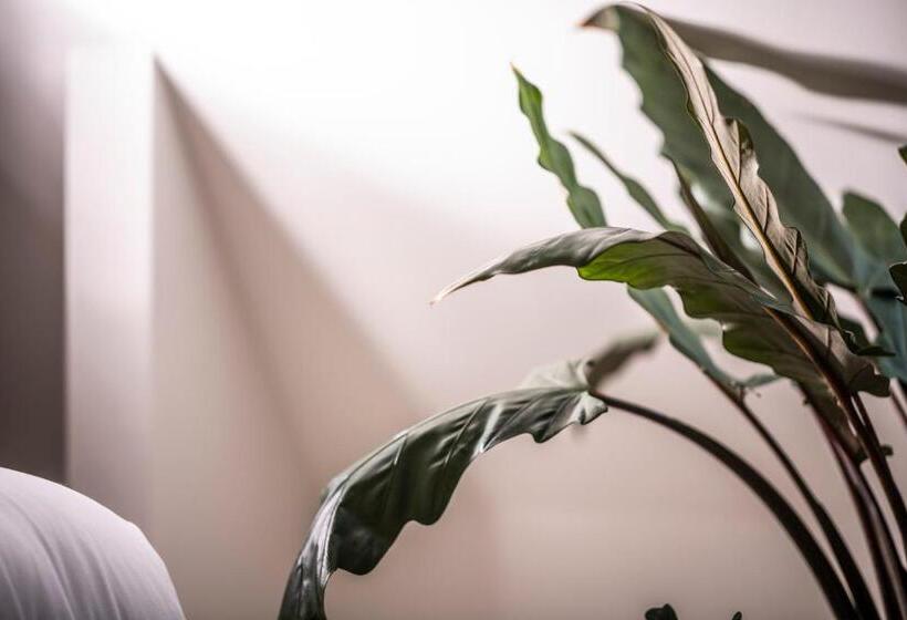 Nobel Houses & Lofts