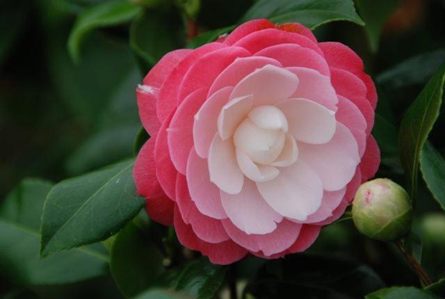 膳宿费 Adelaide Hills B&b Accommodation