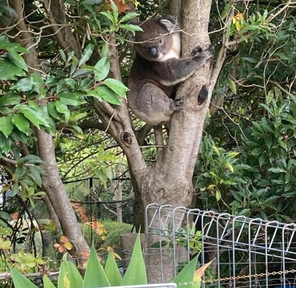 膳宿费 Adelaide Hills B&b Accommodation