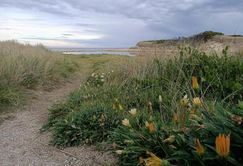 膳宿费 Beaumaris Beach Guest House