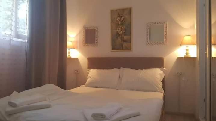 ペンション Boemul Neptun