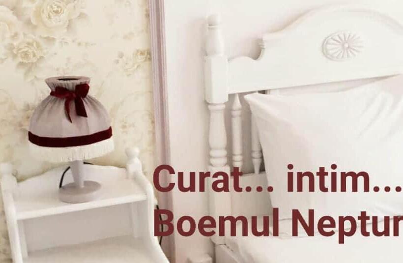 ペンション Boemul Neptun