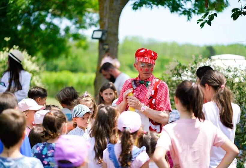 ペンション Boemul Neptun