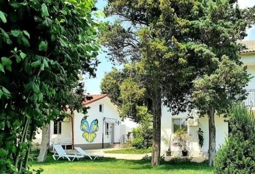 ペンション Boemul Neptun