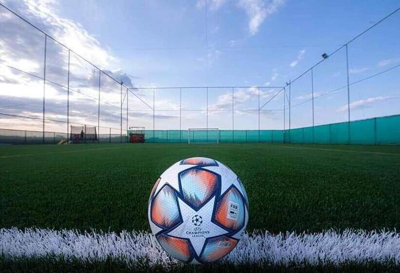 ペンション Boemul Neptun