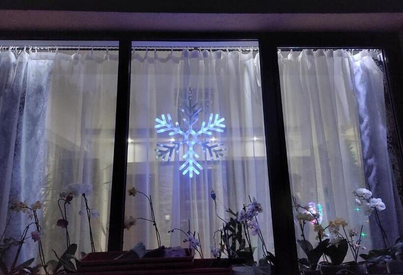 ペンション Fulg De Nea