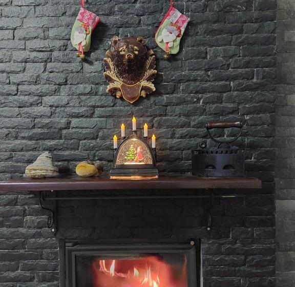 ペンション Fulg De Nea