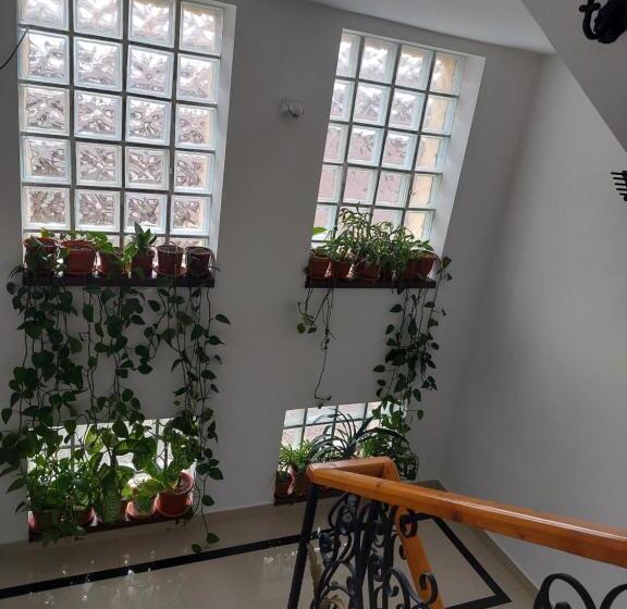 ペンション Fulg De Nea