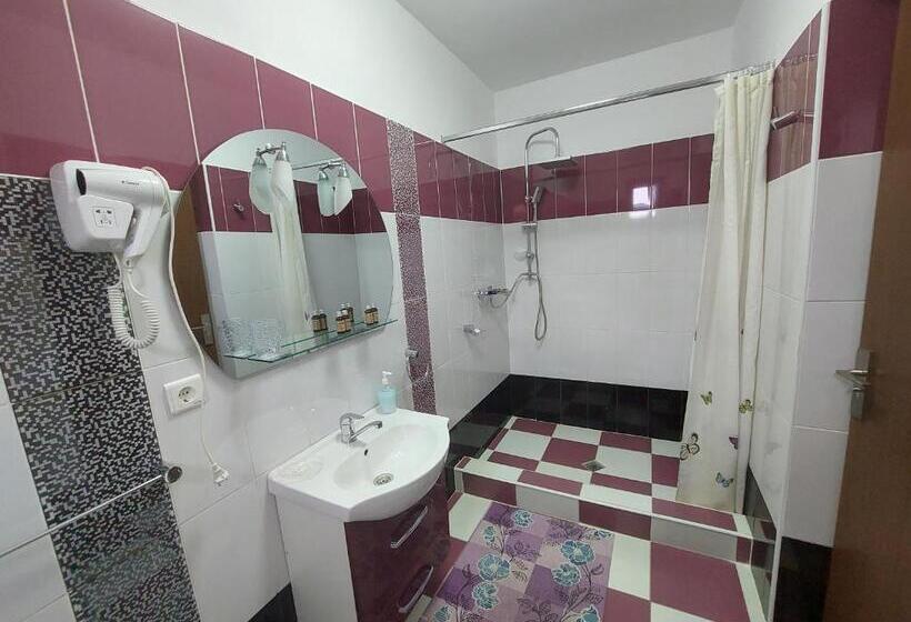 ペンション Fulg De Nea