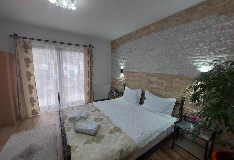 ペンション Fulg De Nea