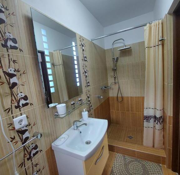 ペンション Fulg De Nea