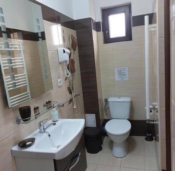 ペンション Fulg De Nea