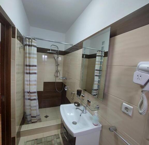 ペンション Fulg De Nea