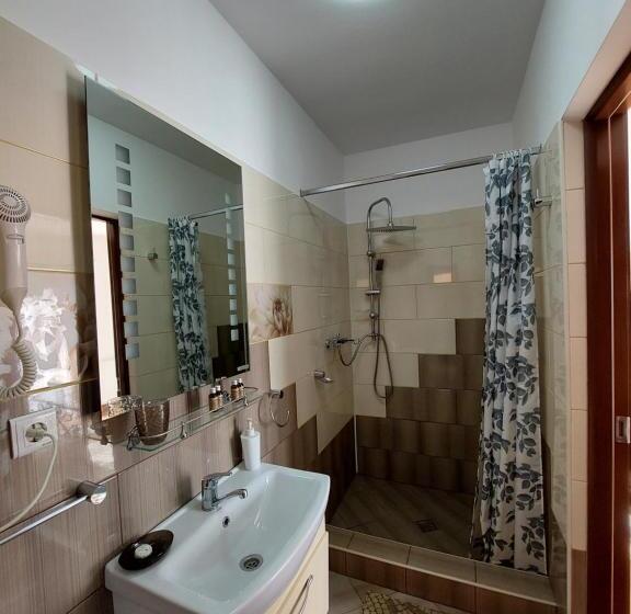 ペンション Fulg De Nea