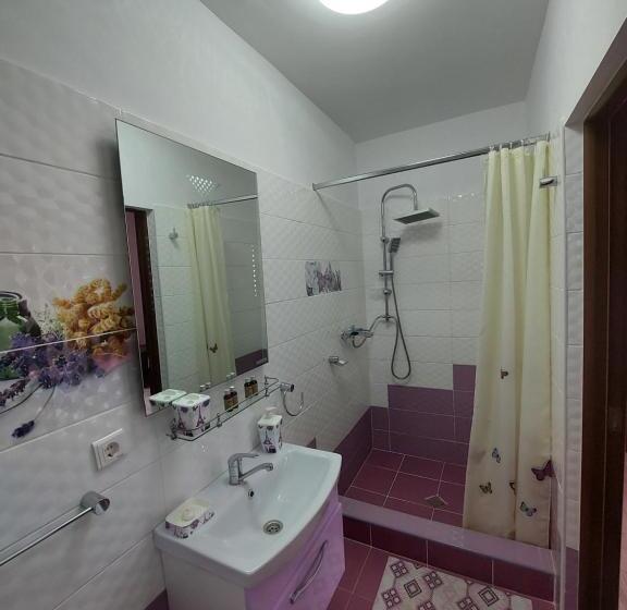 ペンション Fulg De Nea