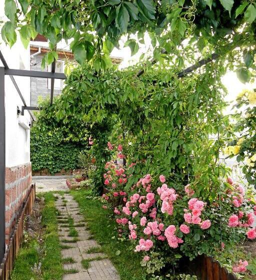 Пансион Guest House Medina