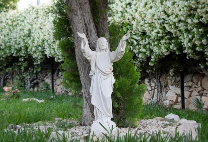 膳宿费 Villa Nicol Affittacamere