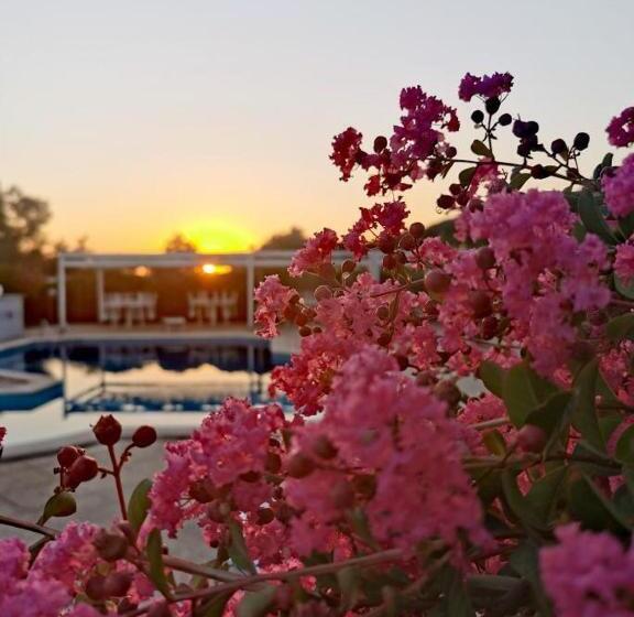 Peperosa B&b And Events