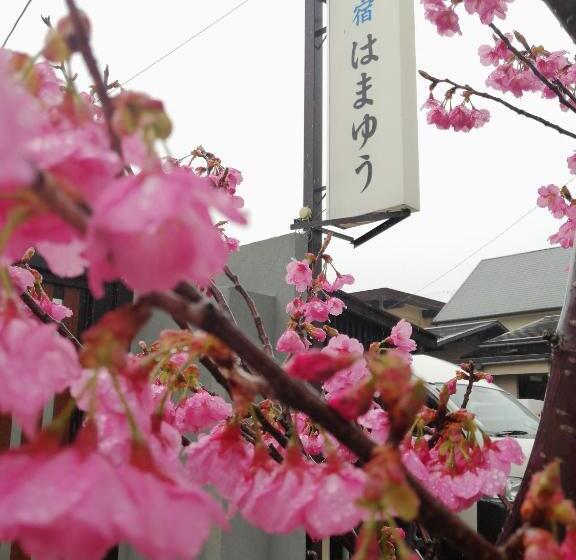 ריוקאן Hamayuu