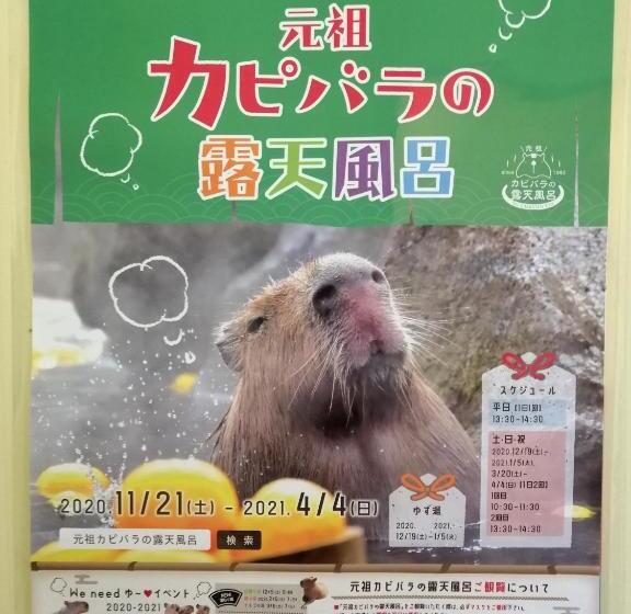 ריוקאן Hamayuu