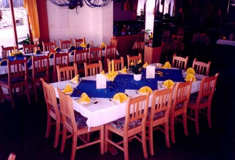 Общежитие Gasthof Metzgerei Pension Schierlitz