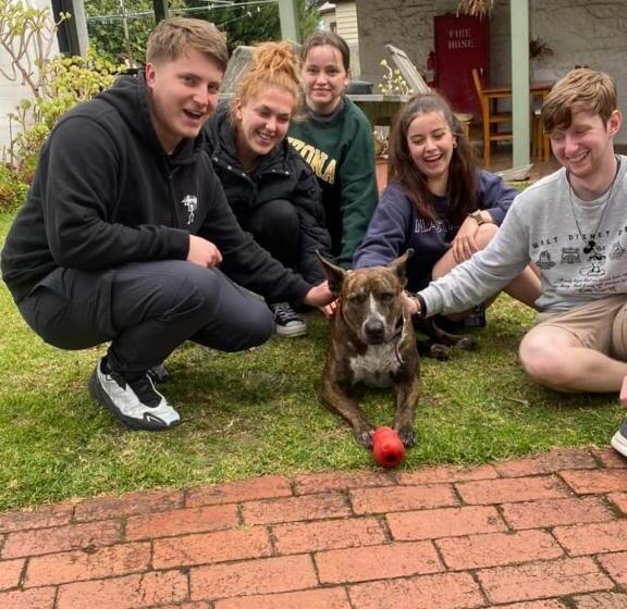 هاستل Port Fairy Yha