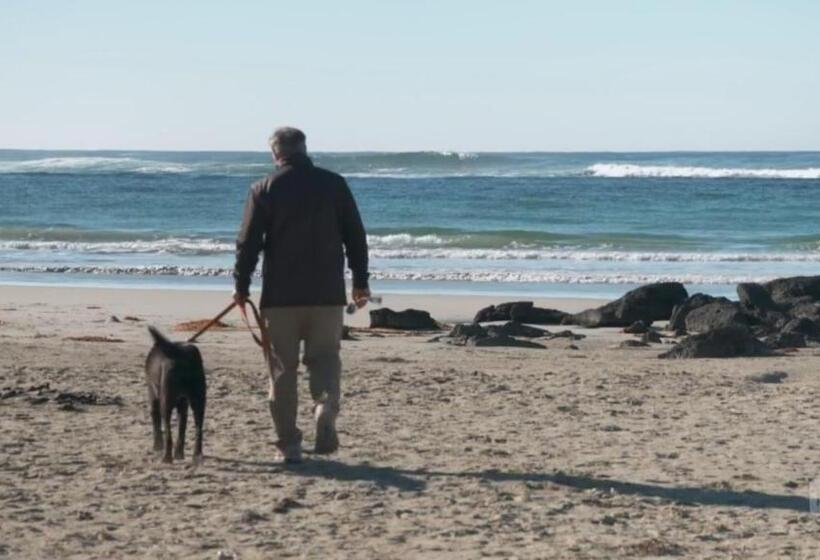 هاستل Port Fairy Yha