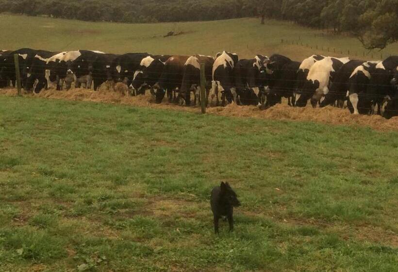 צימר Aashay Country Stay