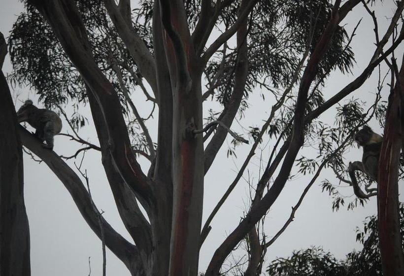 צימר Aashay Country Stay