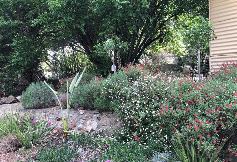 Bed and Breakfast Adagio In Auburn