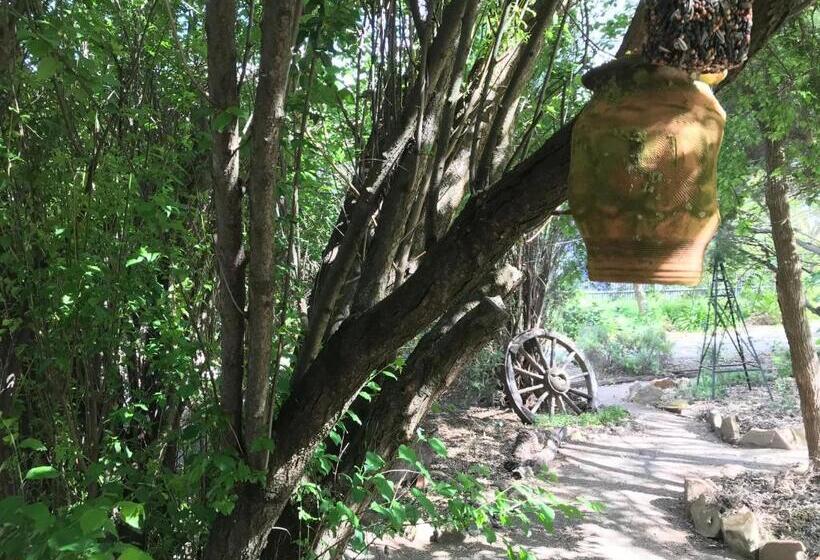 Bed and Breakfast Adagio In Auburn