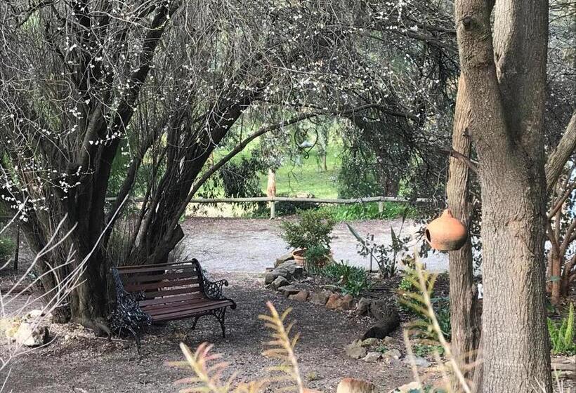 Bed and Breakfast Adagio In Auburn